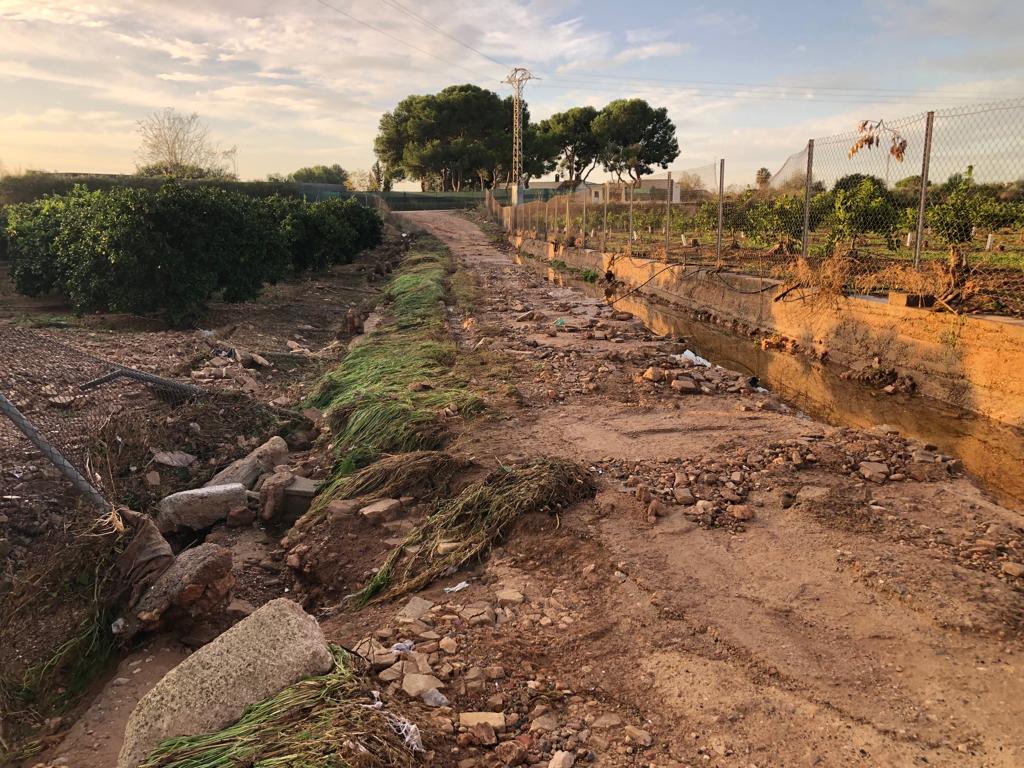 La DANA causa pèrdues superiors a 15 milions en l'agricultura de València i Castelló