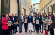 La Diputació col·laborarà amb l'AVL en la difusió d'un còmic sobre les Normes de Castelló