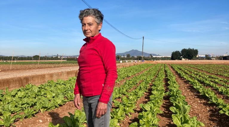 Vicenta Calvet serà la persona homenatjada en la XXX Festa de la Carxofa de Benicarló