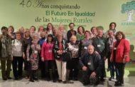 Afammer Castelló reivindica a Madrid el futur en igualtat