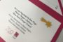 Igualtat premia a Vistabella del Maestrat per un projecte innovador en matèria de serveis socials