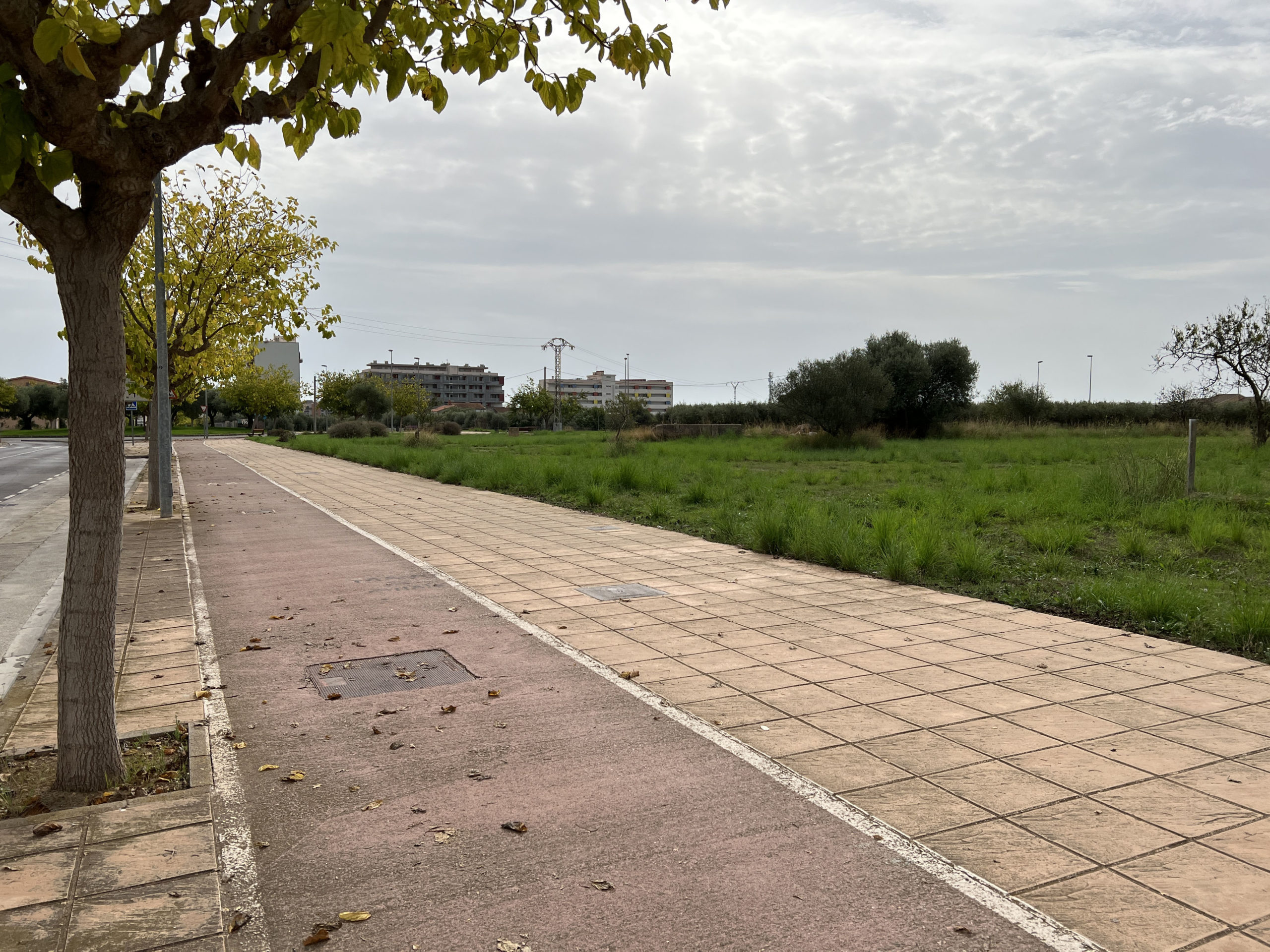 Vinaròs trau a licitació la redacció del projecte bàsic i d’execució del parc verd de Joan XXIII
