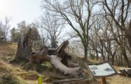 Més zones de descans i esbarjo a l'interior de la comarca