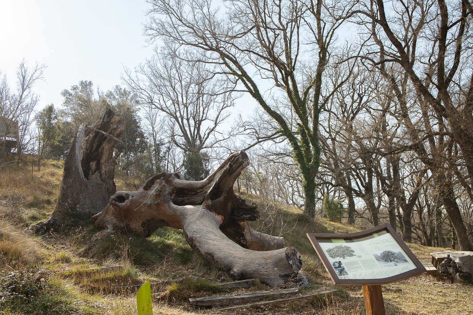 Més zones de descans i esbarjo a l'interior de la comarca