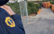 La Policia controla la traçabilitat de 350 tones de productes hortofructícoles a València i Castelló