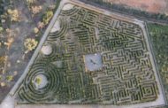 El laberint més gran d'Espanya obrirà les portes a Peníscola abans de Setmana Santa