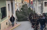 Santa Magdalena realitza aquest dissabte la tradicional entrada del pi dels Quintos i Quintes