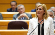 Pradas eleva al Senat la defensa dels afectats per la megaplanta solar i exigeix la compareixença de Ribera