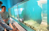 El Museu de la Mar de Peníscola suma més de 63.000 visitants en 2022