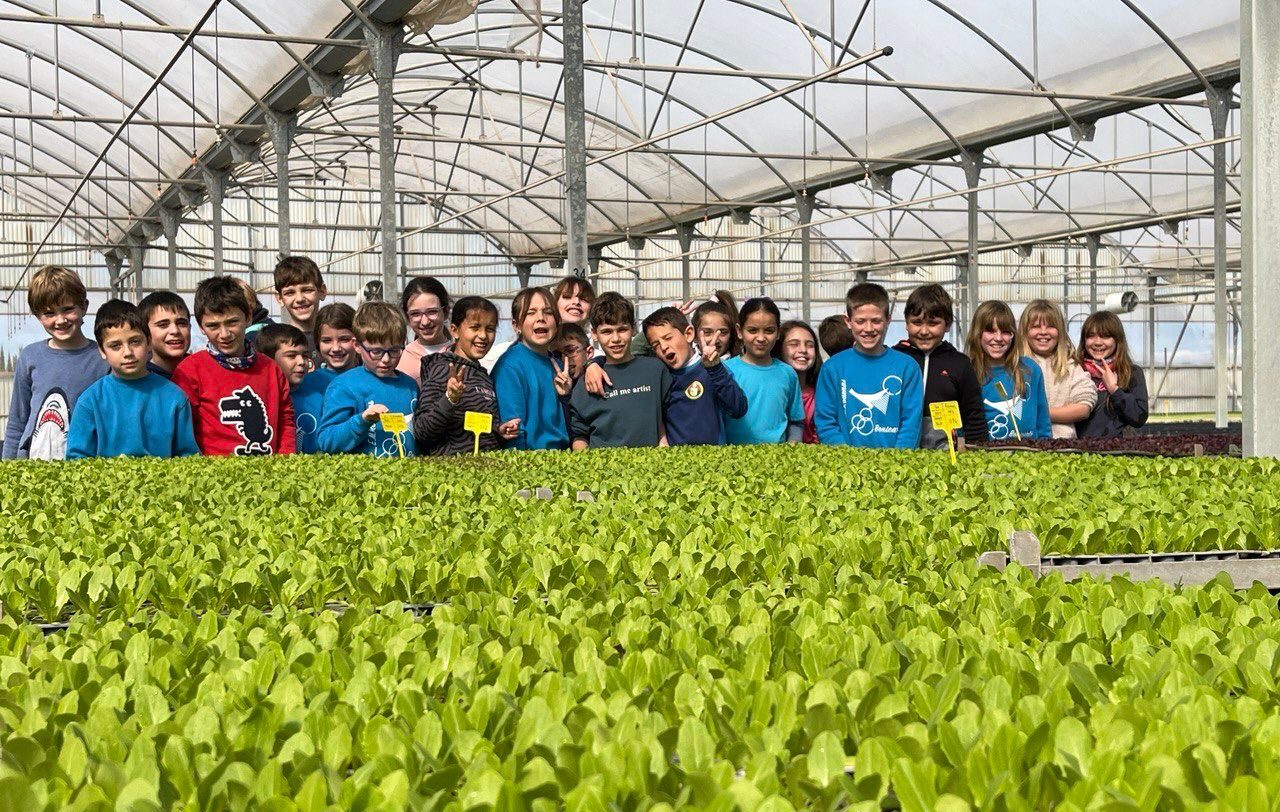 Alumnes del CEIP Eduardo Martínez Ródenas de Benicarló visiten el planter de Benihort