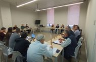 Transició Ecològica presenta un pla de control de la població de senglar 