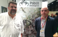 La Diputació promociona l'oli d'oliva amb l'assistència d'empreses a la World Olive Oil Exhibition
