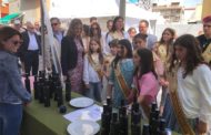 La IV Fira Gastronòmica d’Alcossebre reuneix productes de proximitat i showcookings