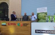 La DO de Benicarló obri la porta a noves varietats de carxofa