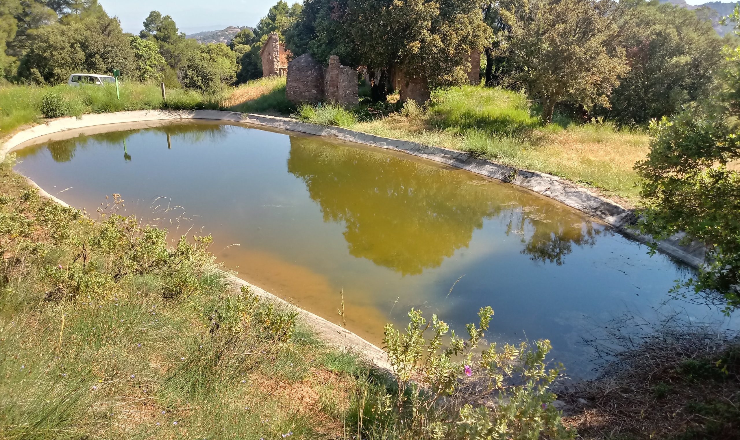 La Diputació destina ajudes per a fer actuacions en vedats de caça que milloren la fauna i l'ecosistema