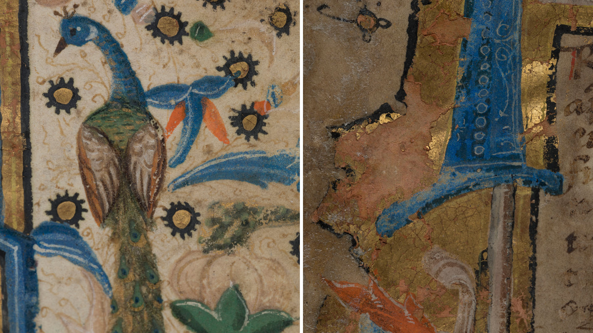 Finalitza la restauració del còdex Directorium Inquisitorum i de la traça de la catedral de Tortosa