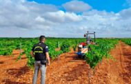 El sector agrari valencià ha vist augmentades les inspeccions en els dos últims anys