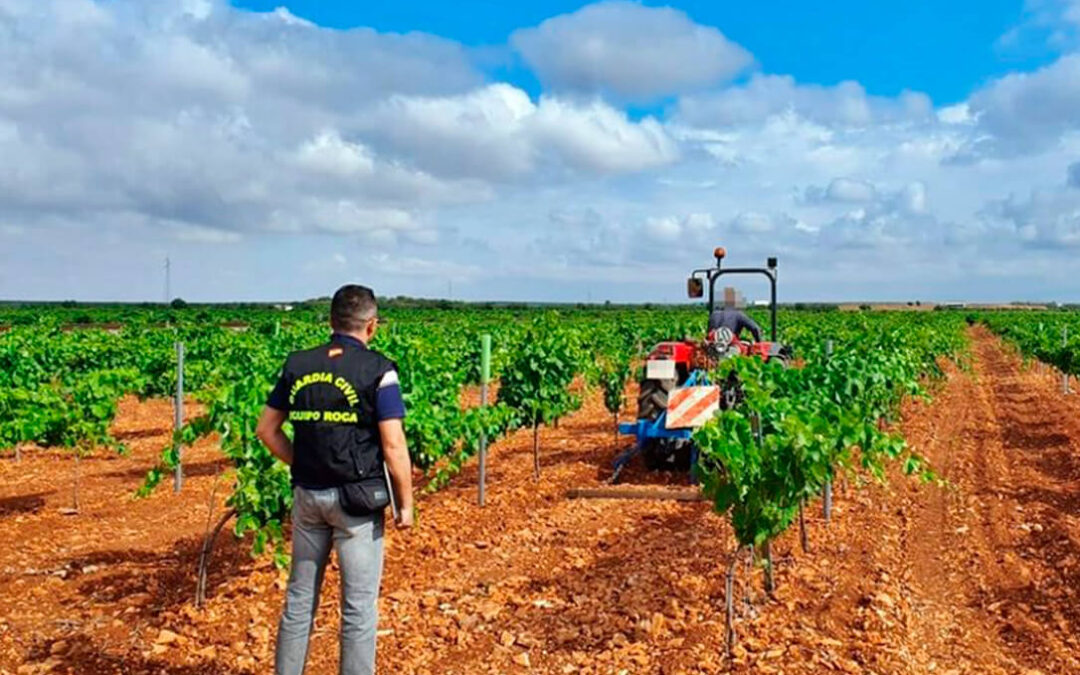 El sector agrari valencià ha vist augmentades les inspeccions en els dos últims anys
