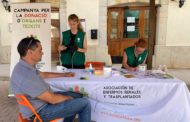 Ares i Alcer Castalia consciencien enfront de les malalties renals