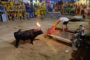 Meritxell Gellida serà la Mantenidora de les Festes Patronals de Peníscola