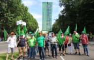 Els llauradors i ramaders es manifesten a Madrid en defensa del sector