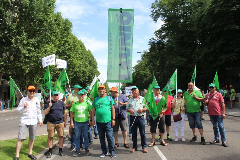 Els llauradors i ramaders es manifesten a Madrid en defensa del sector