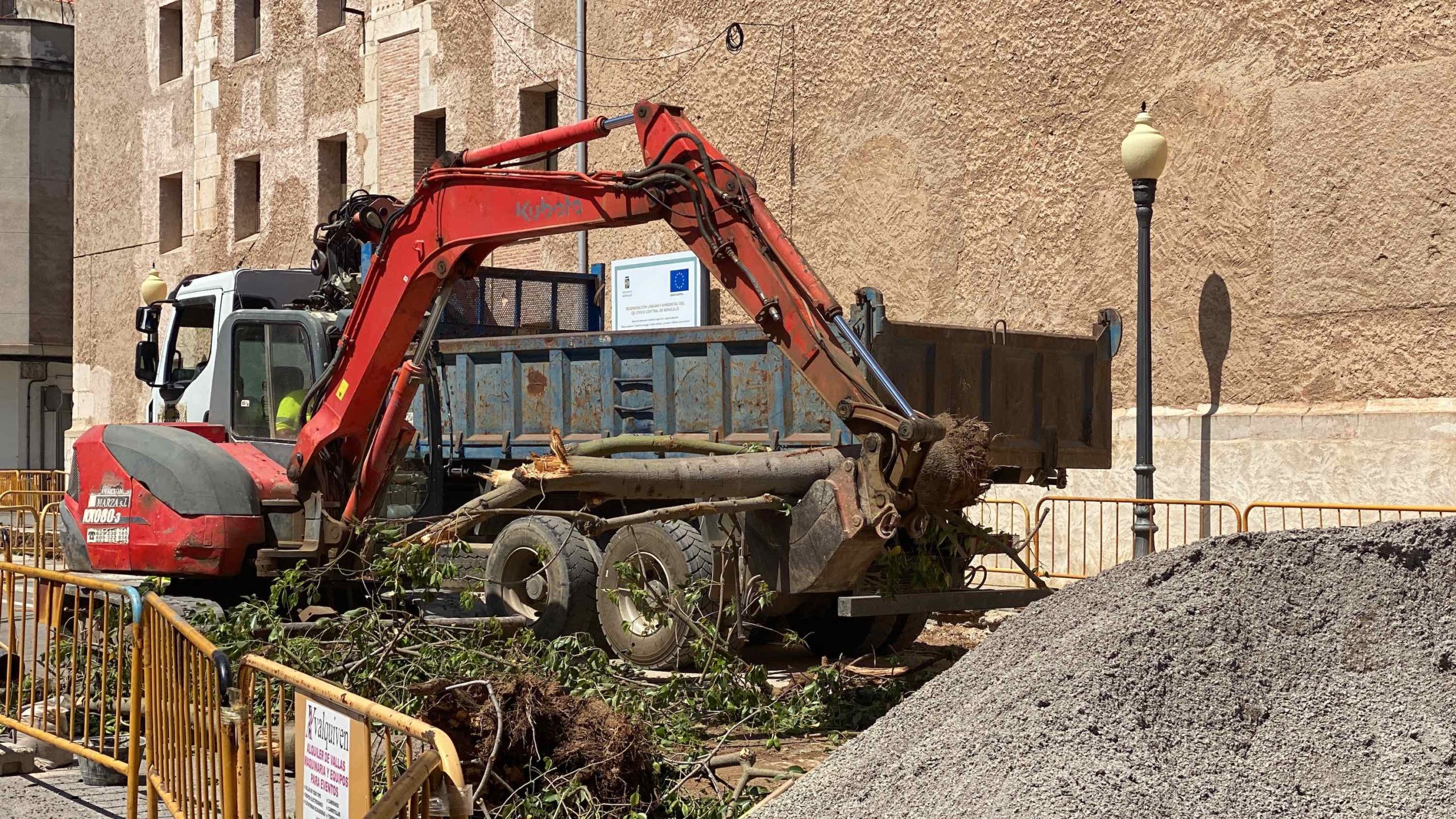 Compromís Benicarlló reclama modificacions de l’Eix Cívic si implica més destrucció d’arbrat