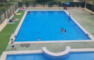 Portellans i portellanes es refresquen a la piscina