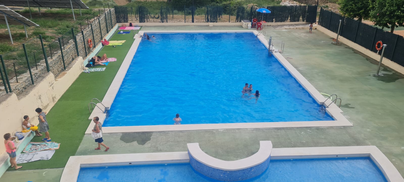 Portellans i portellanes es refresquen a la piscina