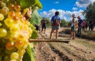 Les visites guiades de Turisme Vinaròs aconsegueixen un gran èxit de públic