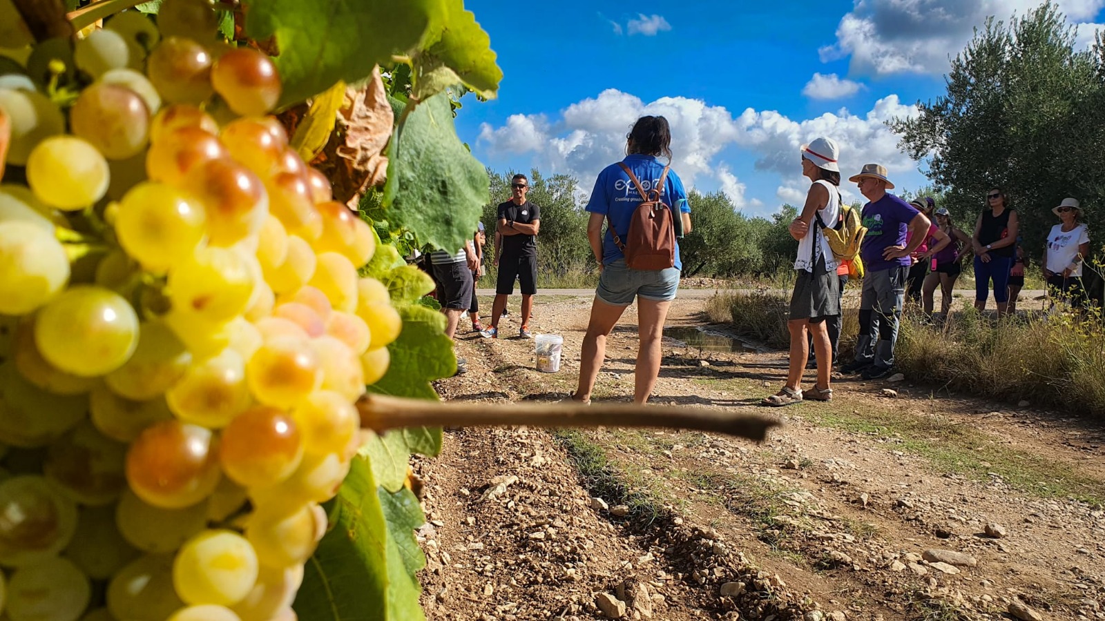 Les visites guiades de Turisme Vinaròs aconsegueixen un gran èxit de públic