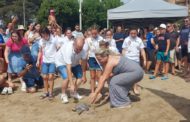 Solten tres tortugues marines a Benicarló