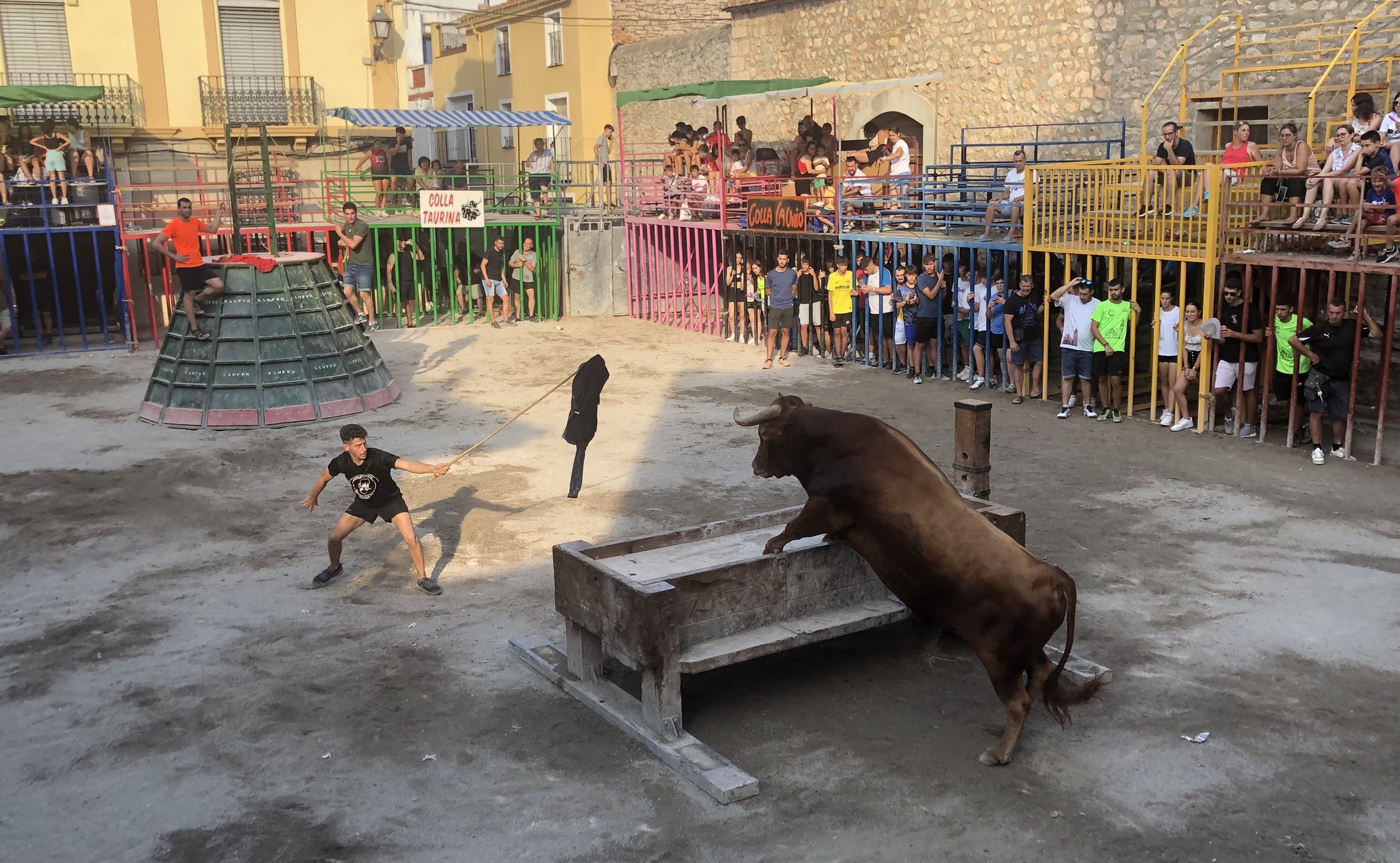 S'amplia la moratòria per a formar veterinaris davant els més de 8000 festejos taurins populars anuals