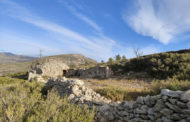 La pluralitat esportiva es consolida a la comarca de l'Alt Maestrat