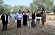 Marta Barrachina distingeix la qualitat de l'or líquid de Castelló en la segona edició dels premis AOVE