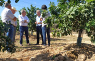 Aguirre anuncia ajudes dirigides als agricultors amb explotacions danyades per la fauna salvatge