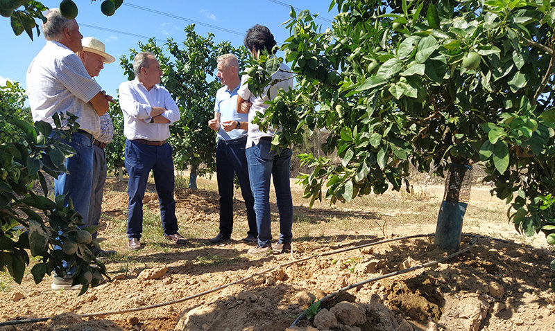 Aguirre anuncia ajudes dirigides als agricultors amb explotacions danyades per la fauna salvatge