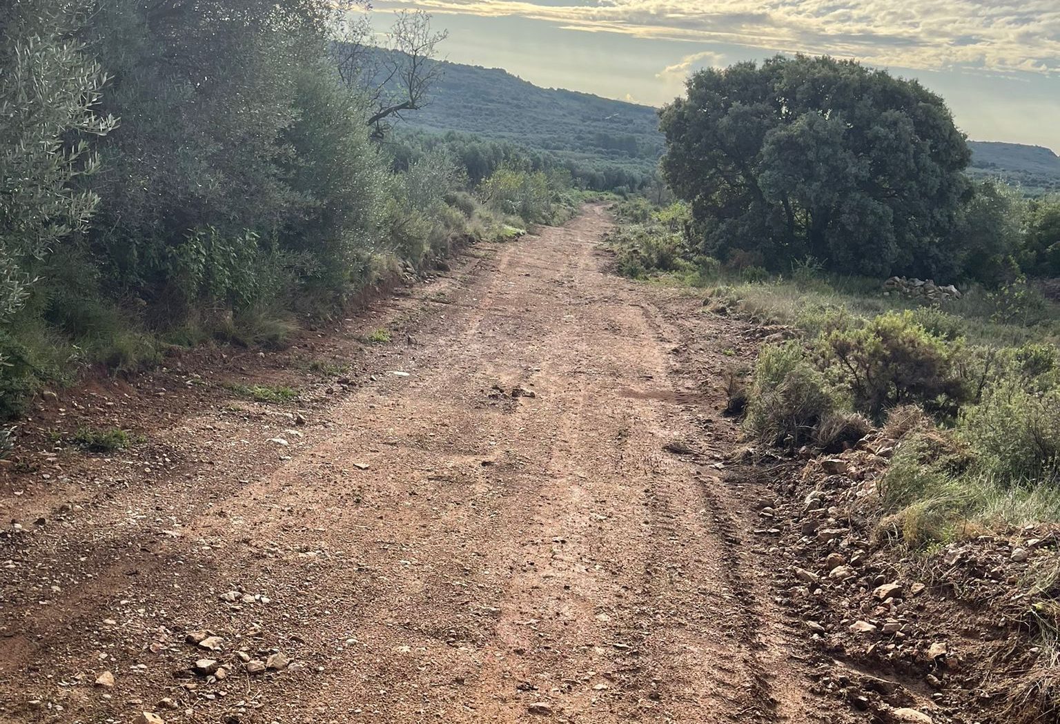 Tírig activa el Pla Local de Prevenció d'Incendis Forestals