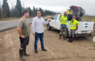 La Diputació sol·licita autorització per al tractament aeri contra els mosquits