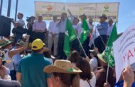 Alerten que les polítiques verdes reduiran un 20% la producció europea i dispararan els preus