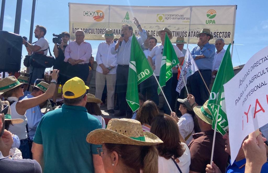 Alerten que les polítiques verdes reduiran un 20% la producció europea i dispararan els preus