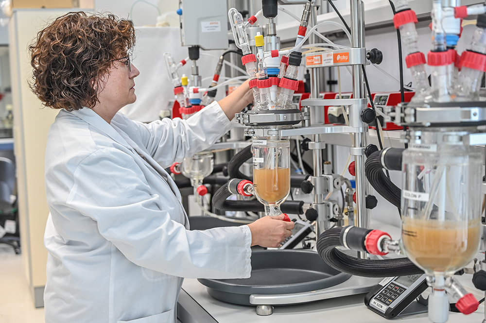 El Consell impulsa la investigació de nous productes saludables per a la microbiota colònica