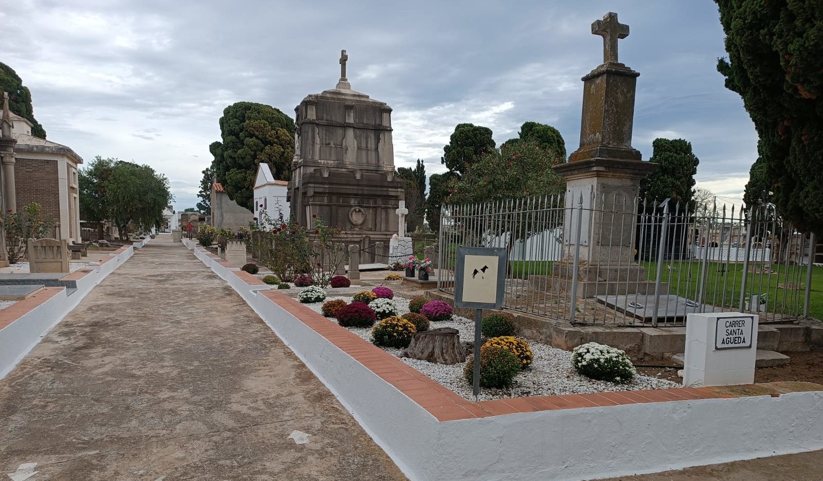 Ajudes per a l'obertura de fosses i exhumacions de desapareguts durant la Guerra Civil i la dictadura