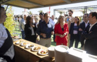 Barrachina: «Els 25.000 assistents testifiquen l'èxit del II Festival gastronòmic Castelló Ruta de Sabor»