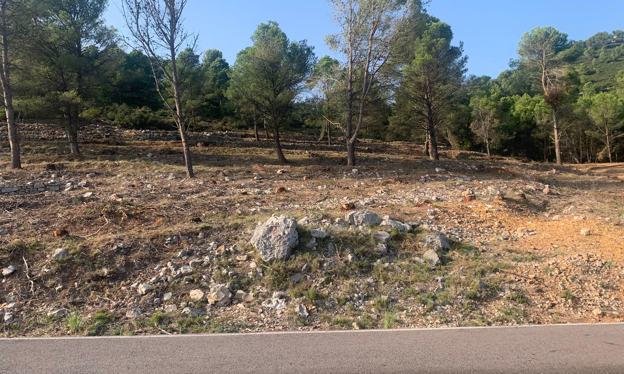 Santa Magdalena millora pistes i construeix un tallafoc amb el Fons de Prevenció d'Incendis