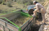 LA UNIÓ exigeix ajudes directes a la Conselleria d'Agricultura per als productors d'olivar i vinya 