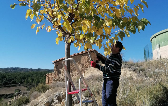 Palanques formalitza dos contractes EMPUJU i EXPLUS