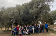 Turisme Vinaròs organitza una jornada de coneixement de recursos turístics per a les empreses SICTED