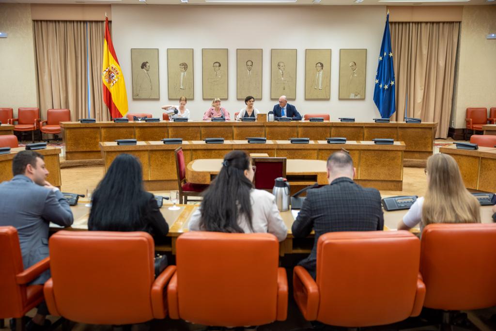 Ros (PSOE) comparteix amb Ucraïna l'enfocament espanyol per a acabar amb la violència de gènere