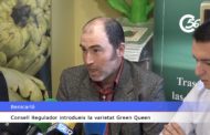 →VÍDEO. L’INFORMATIU DE C56 20-11-2023